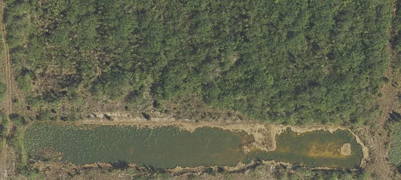 66.31 Acres on US HWY 27