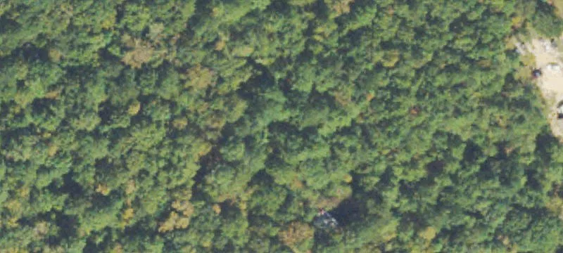 2.5-Acre Partially Cleared Land