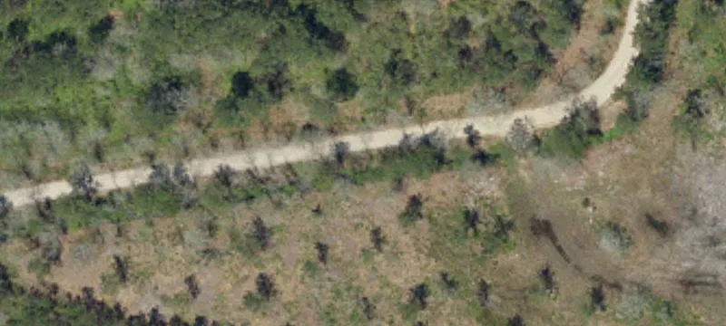 Cleared 42 Acres Ready