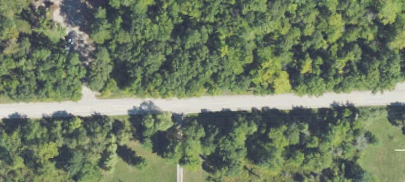 Wooded Parcel for Custom Build