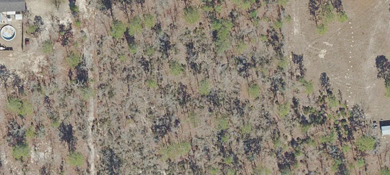 5-Acre Land Parcel in Hawthorne