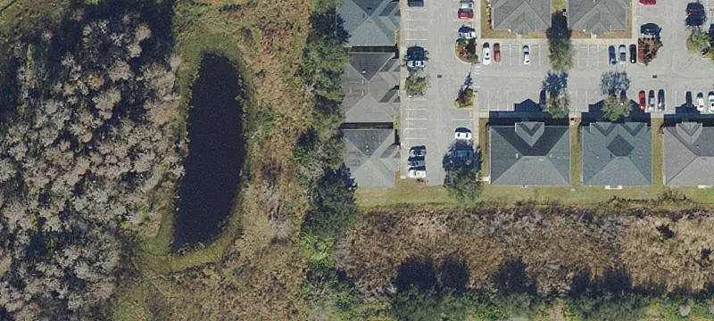 Professional Office in Lutz, Florida