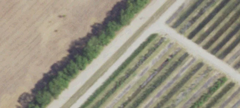 Newly Built Home on Acreage