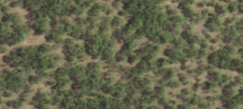 Lake Graham Ag Exempt Property