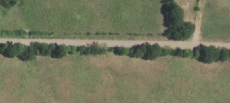 53+ Acre Ranch in Texas