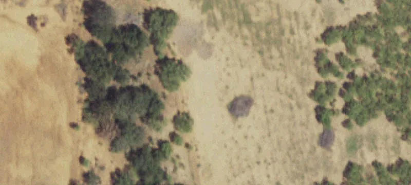 Turnkey Cattle Ranch Opportunity