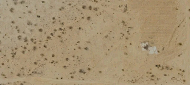 Land in Homestead Valley