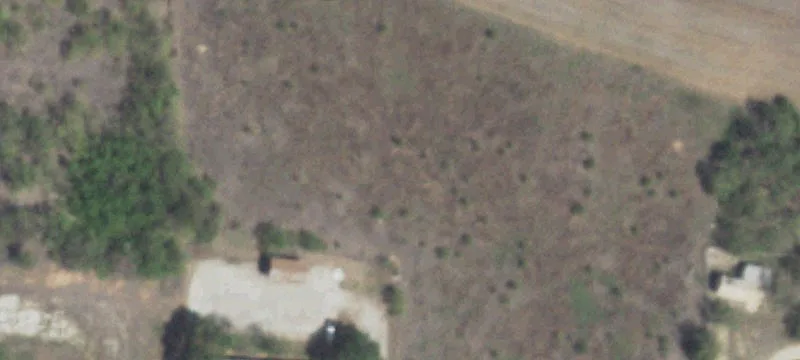 Cleared Land in Growing Area