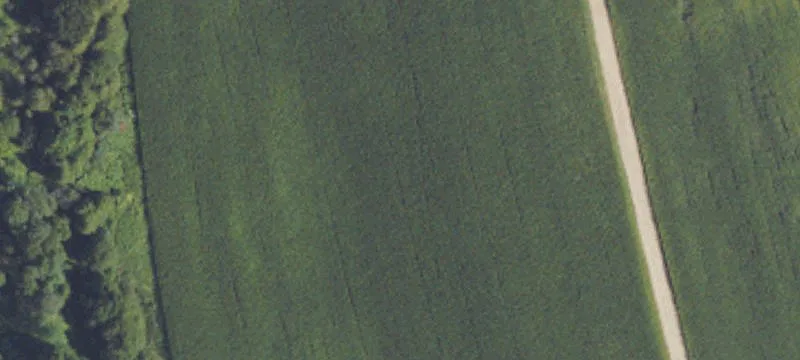 10 Acre Parcel with Access