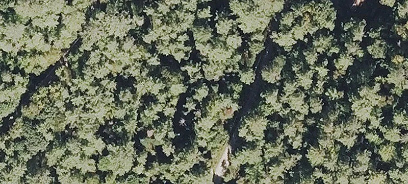 Residential Lot in Mountain Meadows