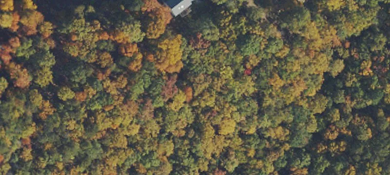 Residential Lot in Romney, WV