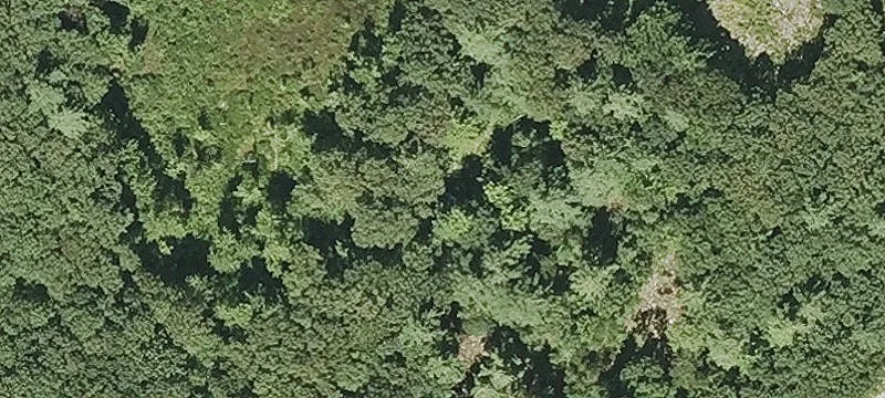 Waterfront Land on Lower Wright's