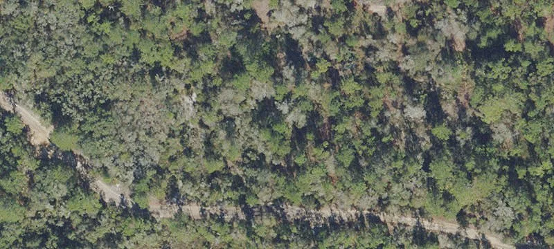 Residential Land Near Main Roads