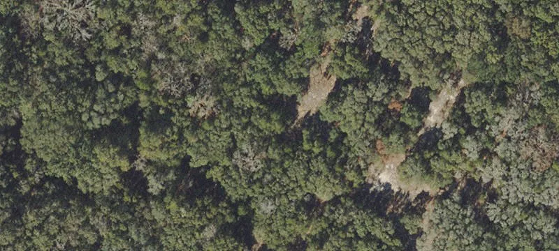 Land in Thriving Citrus County