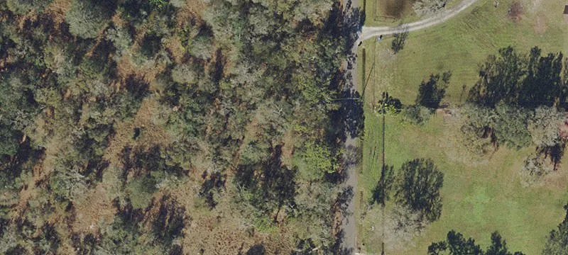 Spacious Homesite in Lithia
