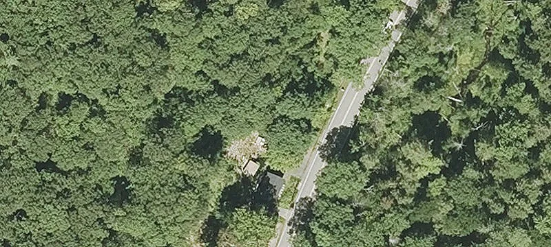 Wooded Lot Near Ashburnham