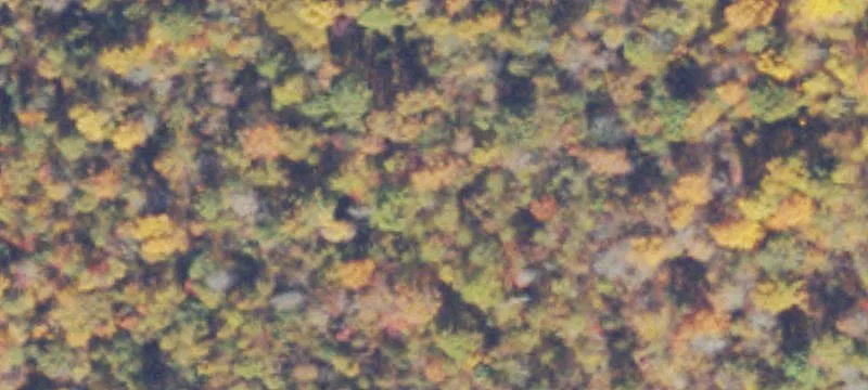10-Acre Parcel for Dream Estate