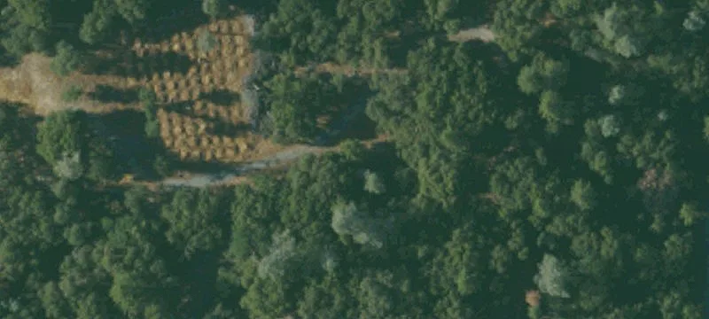 Land with Mountain Views