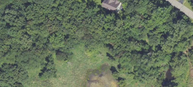Wooded Building Site Near Fowlerville