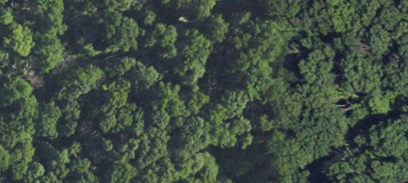 Wooded Lots in Harpers Ferry