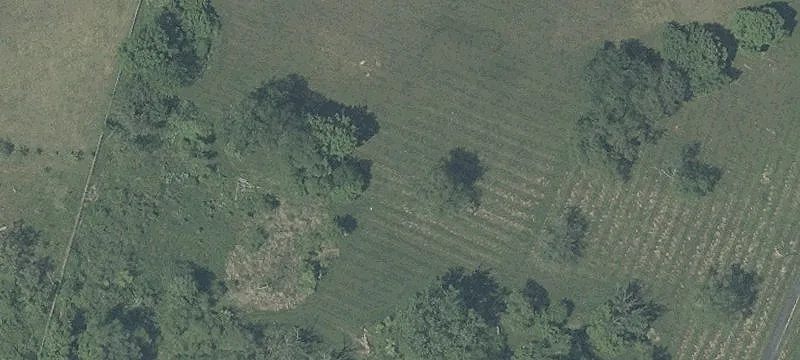 5.87 Acre Wooded Lot