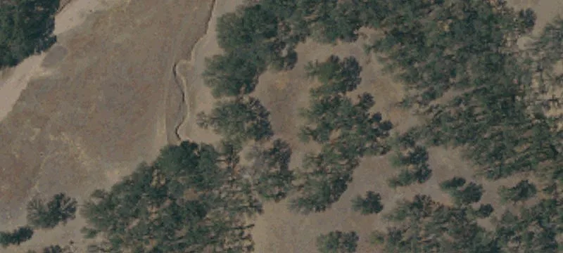 Versatile 15.5 Acre Agricultural Land