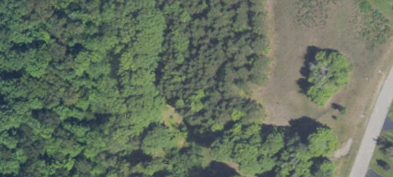 Land