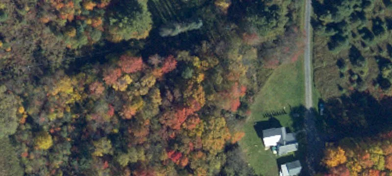 41+ Acres for Rural Retreat