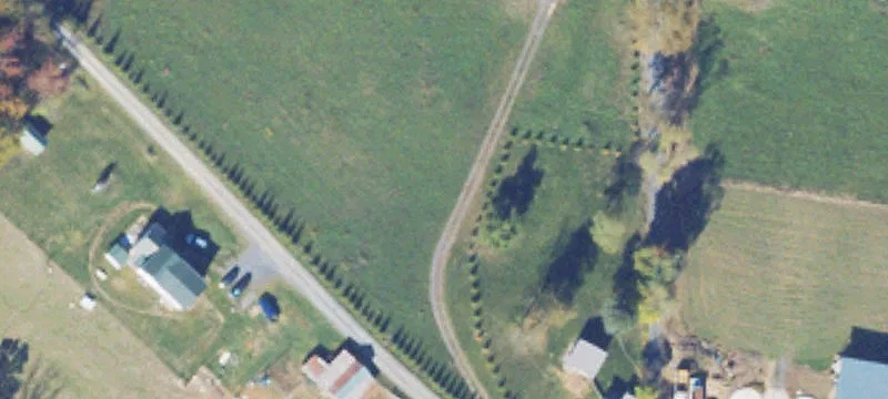 Wooded Land with Owner Financing