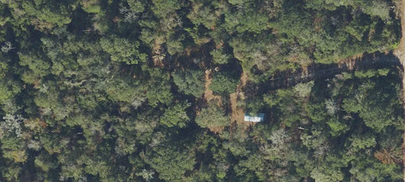 Large Wooded Parcel in Fort White