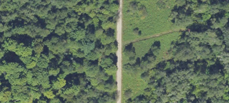 Wooded Acres Near Traverse City