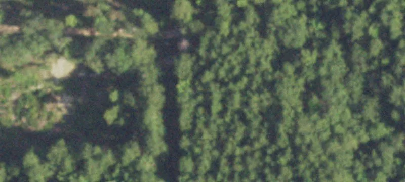 12.99 Acres in Warren, Texas