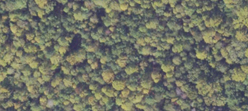 Raw Land with Multiple Uses