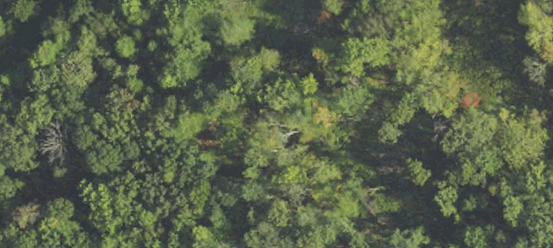 Secluded Land Surrounded by Greenbelt