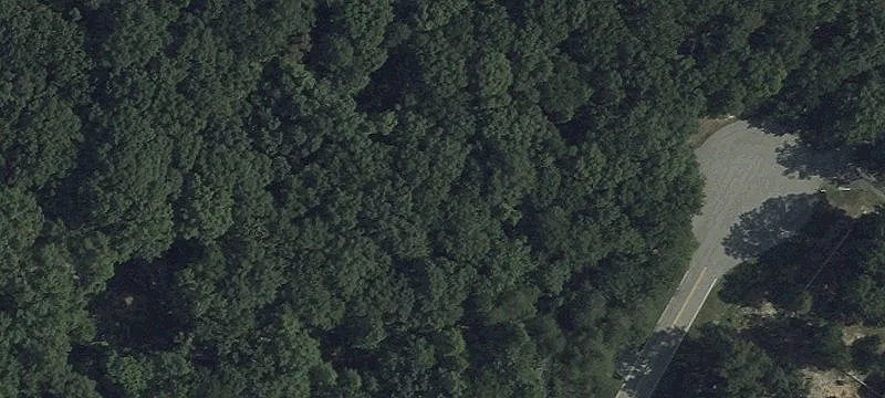 Waterfront Land on Hungerford Creek