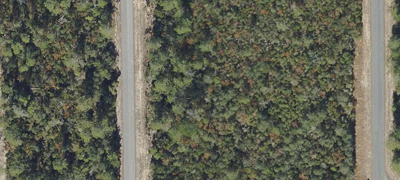 Citrus Springs Build-Ready Lot