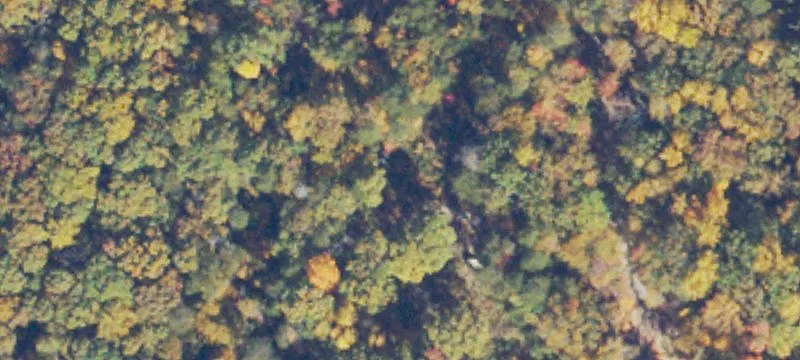 Five Acres Near Lake Anna