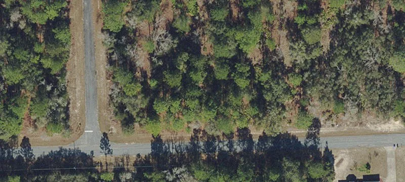 Citrus Springs Ready-to-Build Lot