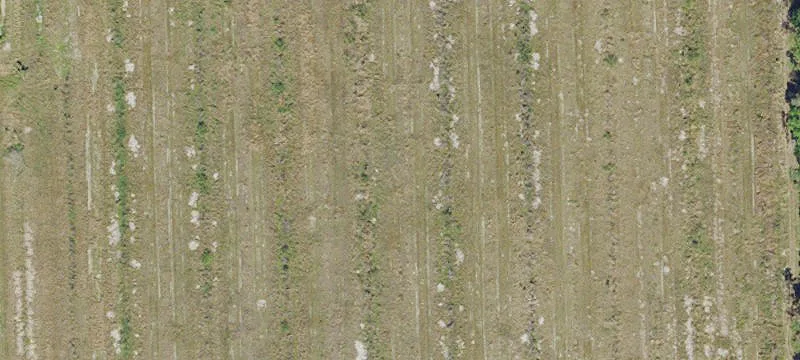 30 Acres Vacant Land LaBelle