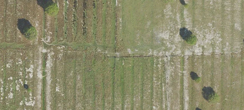 LaBelle Farmland with Development Potential
