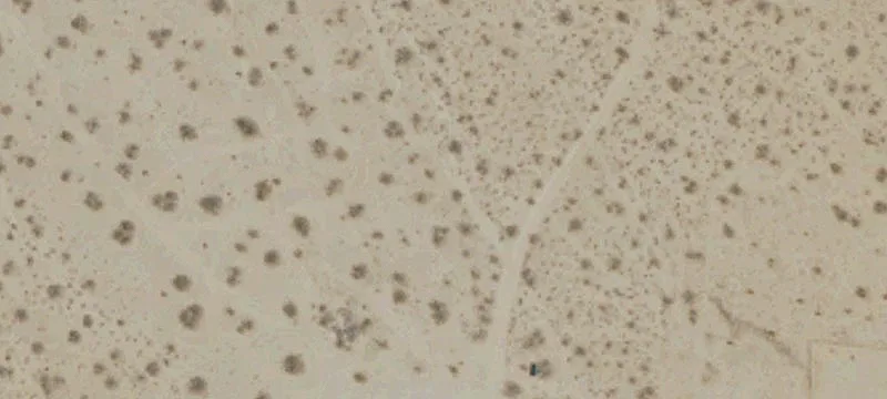 Johnson Valley Land Opportunity