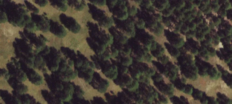 10 Acre Parcel with Views