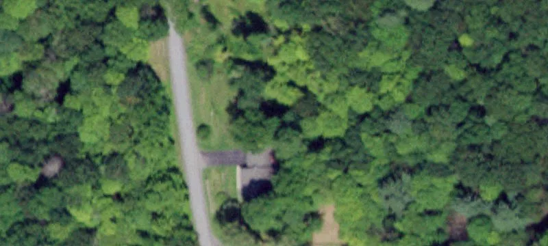 Staatsburg Wooded Land Parcel