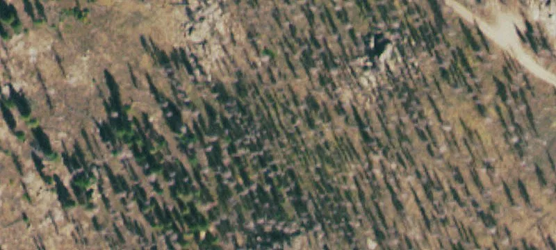 Land with Mountain Views