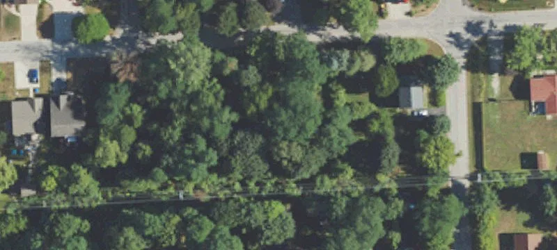 Wooded Lot in Established Neighborhood