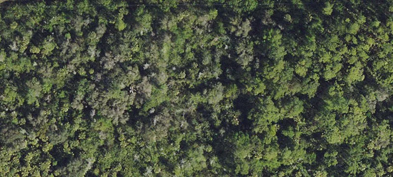 2.5 Acres Residential Land Naples