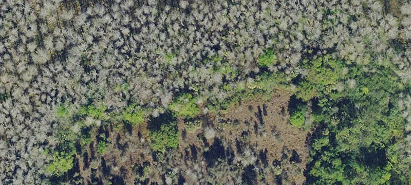 19.78 Acres Agricultural Land Parcel