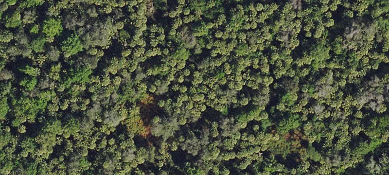 Golden Gate Estates Land Parcel
