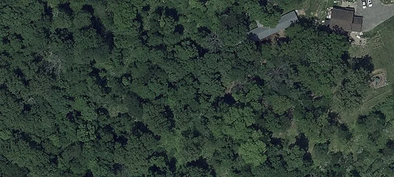 Wooded Land Ready to Build