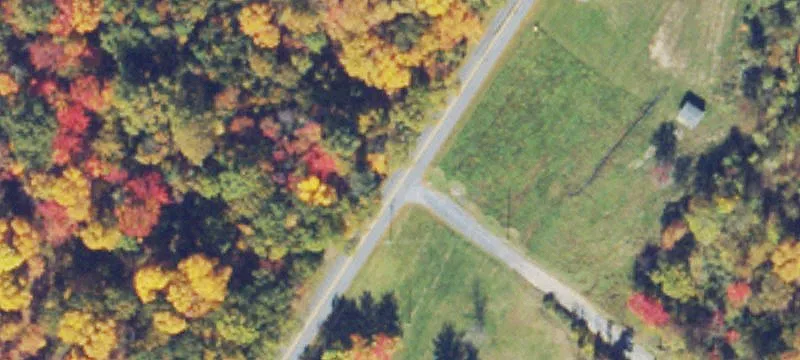 Two Wooded Lots Near Winchester